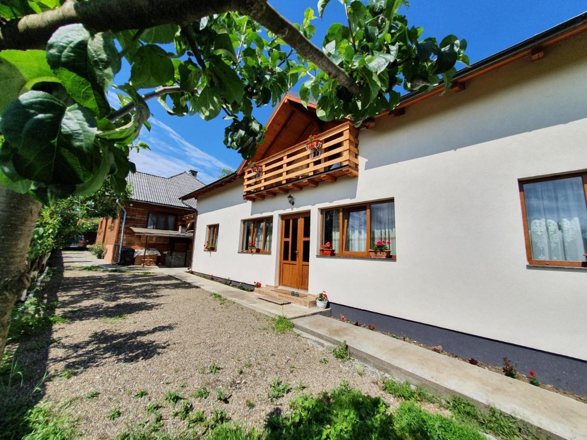 Pensiunea Ilea Ieud Exterior photo